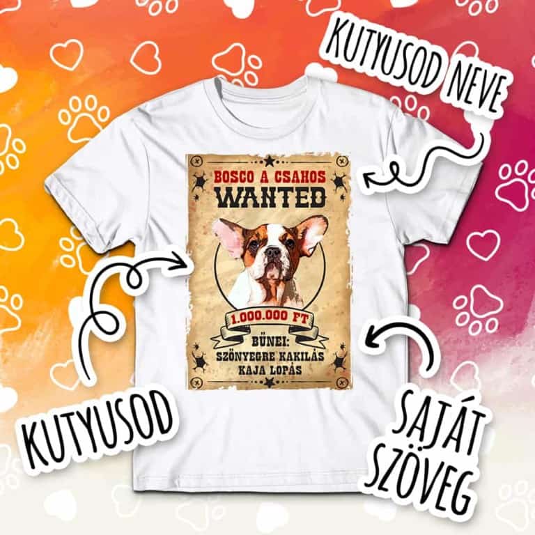 Pet Wanted - MyLife Plus