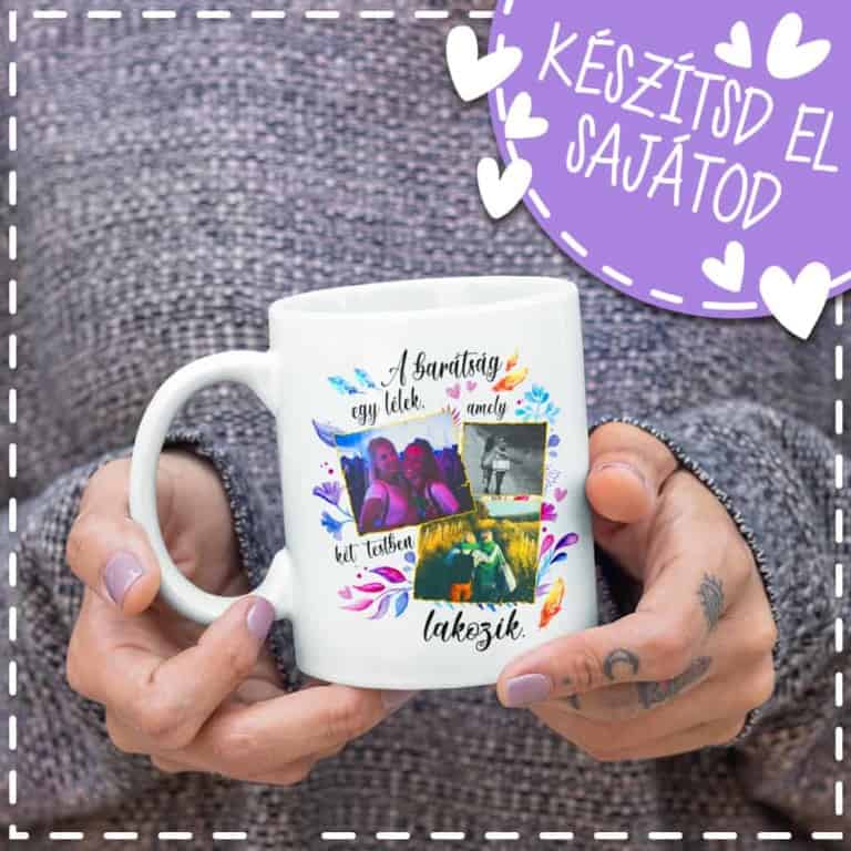 Barátság - MyLife Plus