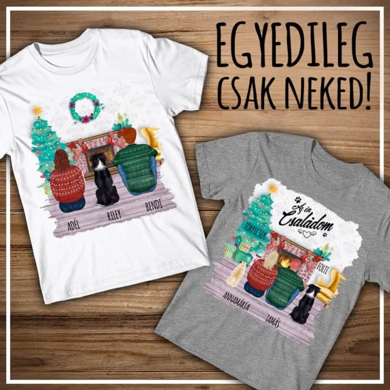 Kiskedvenccel karácsonykor Páros - MyLife