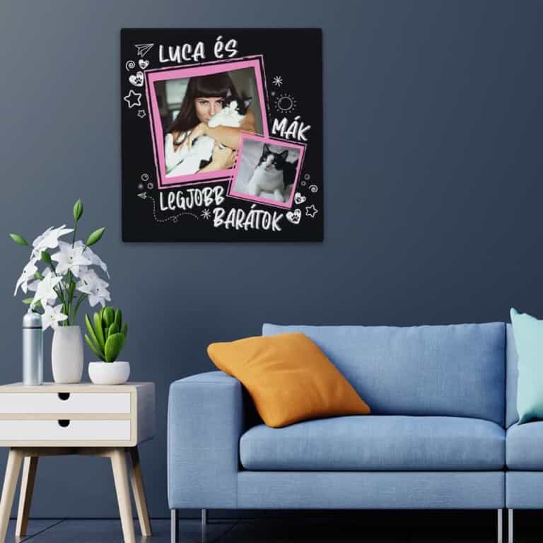 Kiskedvencem - MyLife Plus