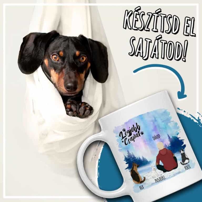 Kiskedvenccel a téli tájon - egy alak - MyLife