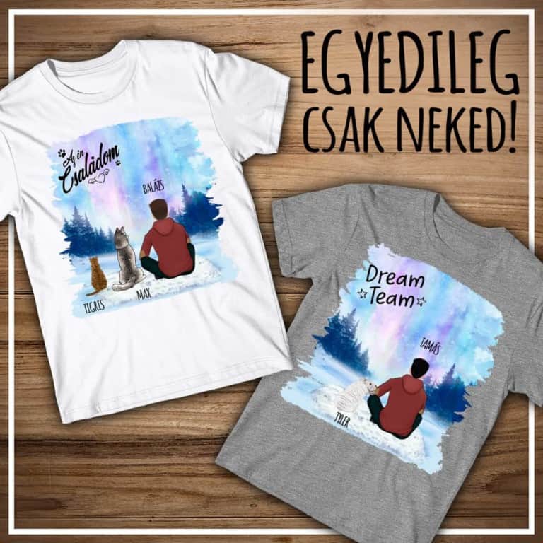 Kiskedvenccel a téli tájon - egy alak - MyLife
