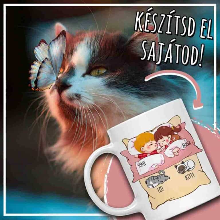 Pihenés kis kedvencekkel - Páros - MyLife