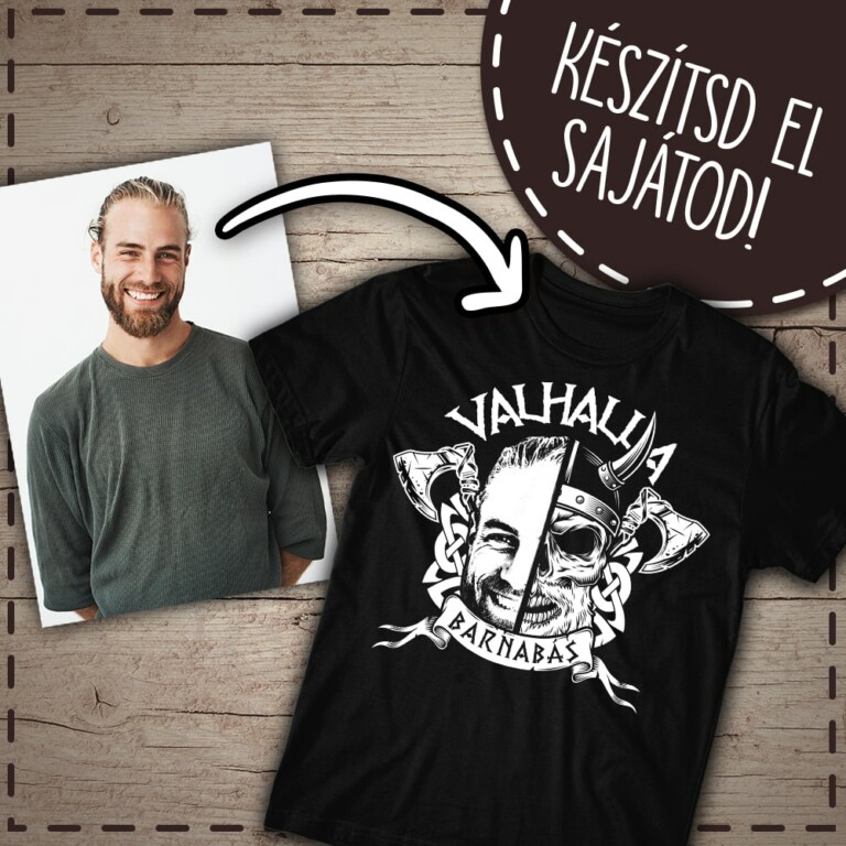 Viking vector mask - MyLife Plus