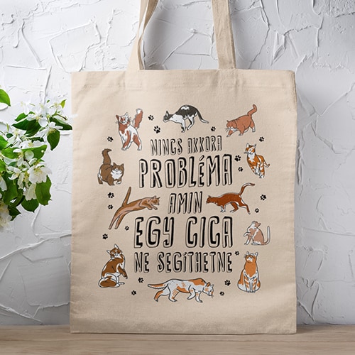 Terápiás és Segítő Macskákért Alapítvány