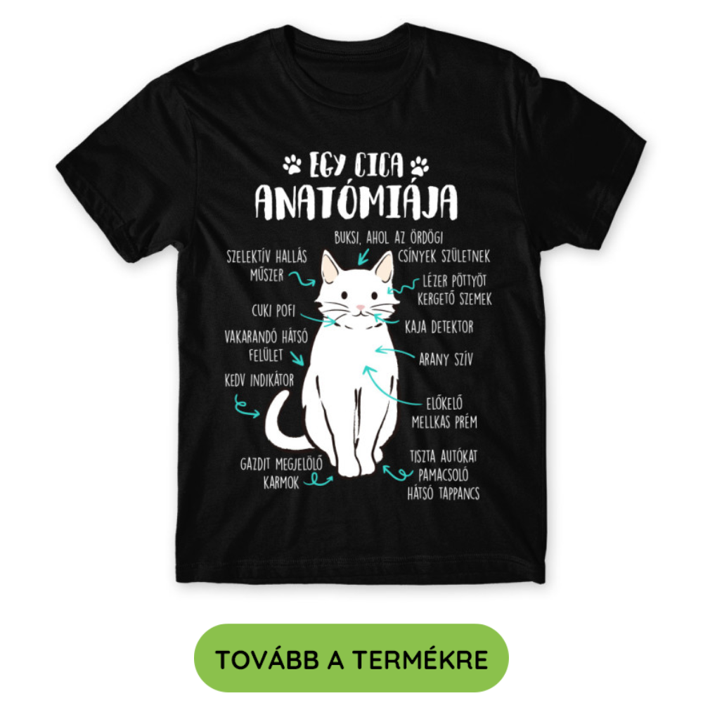 Ajándékötletek cicagazdiknak